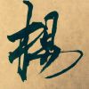 无泪的遗憾i*