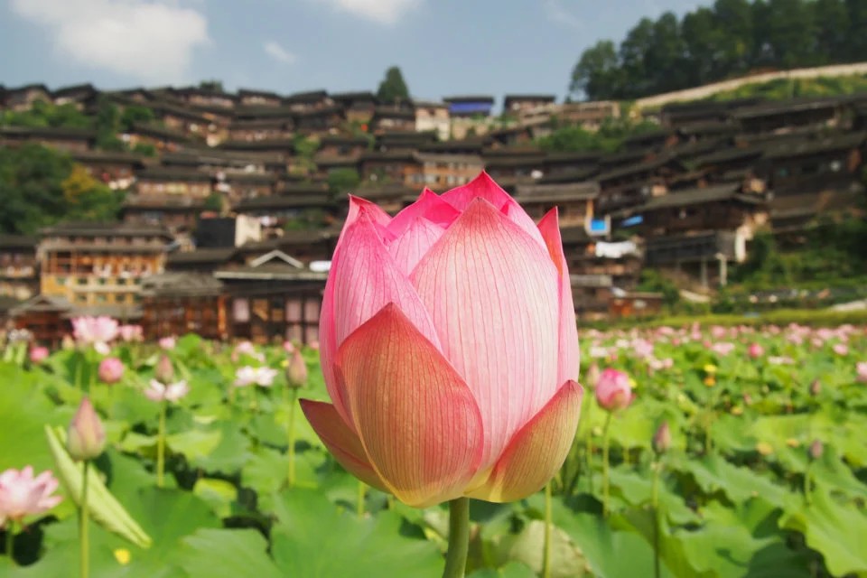 👫鹏鹏主播照片