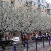 想把你好好的收藏