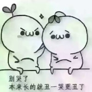 天若有情obq