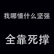 讨厌我人中你算老几