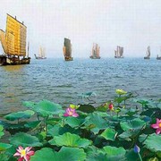 微信_3915949