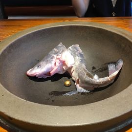一十四州主播照片