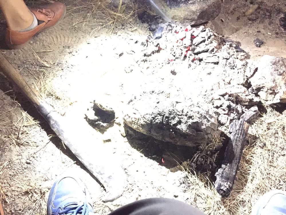 不会发光的鱼主播照片