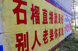 石榴𥄂播主播照片