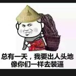 我不是设狼的头像