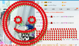 清荷q主播照片