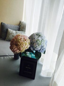 新人baby求守护主播照片