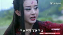 梁祝化蝶翩翩飛主播照片