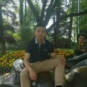 fvhbvv海报
