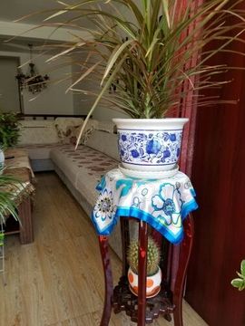 正点♥阳光主播照片