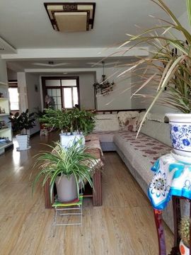 正点♥阳光主播照片