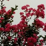 ~风/雨~