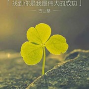 微信_524kl