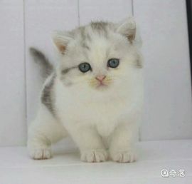 ✨媳婦⭐求🌙帶走✨主播照片