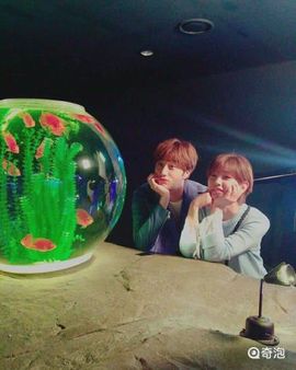 ✨媳婦⭐求🌙帶走✨主播照片