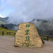 竹马甲
