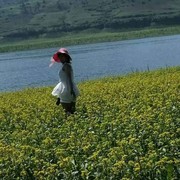微信_5633598海报