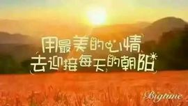 多言多语.主播照片