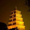 是男人、心就要狠8*的头像