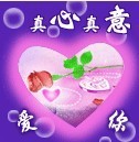 单只;蝴蝶主播照片