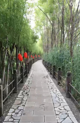 彬彬有礼、主播照片