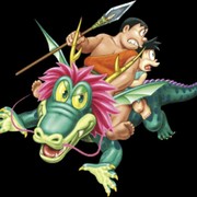 二龙小弟