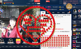 梨花不再期待主播照片