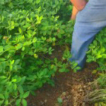 开心快乐懒笨疯丑女人主播照片