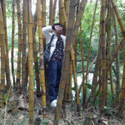 。以后的以后？
