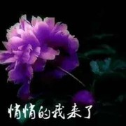 微信_63xha