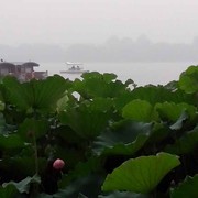 微信_6614770