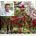 昌平老门苹果园的头像