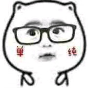 y片面之词