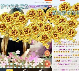 烟花🐾主播照片