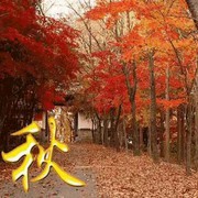 微信_6861405的头像