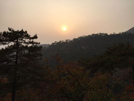 涛有点突出休主播照片