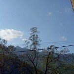 真心换真情1235