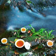 沙里鱼海报