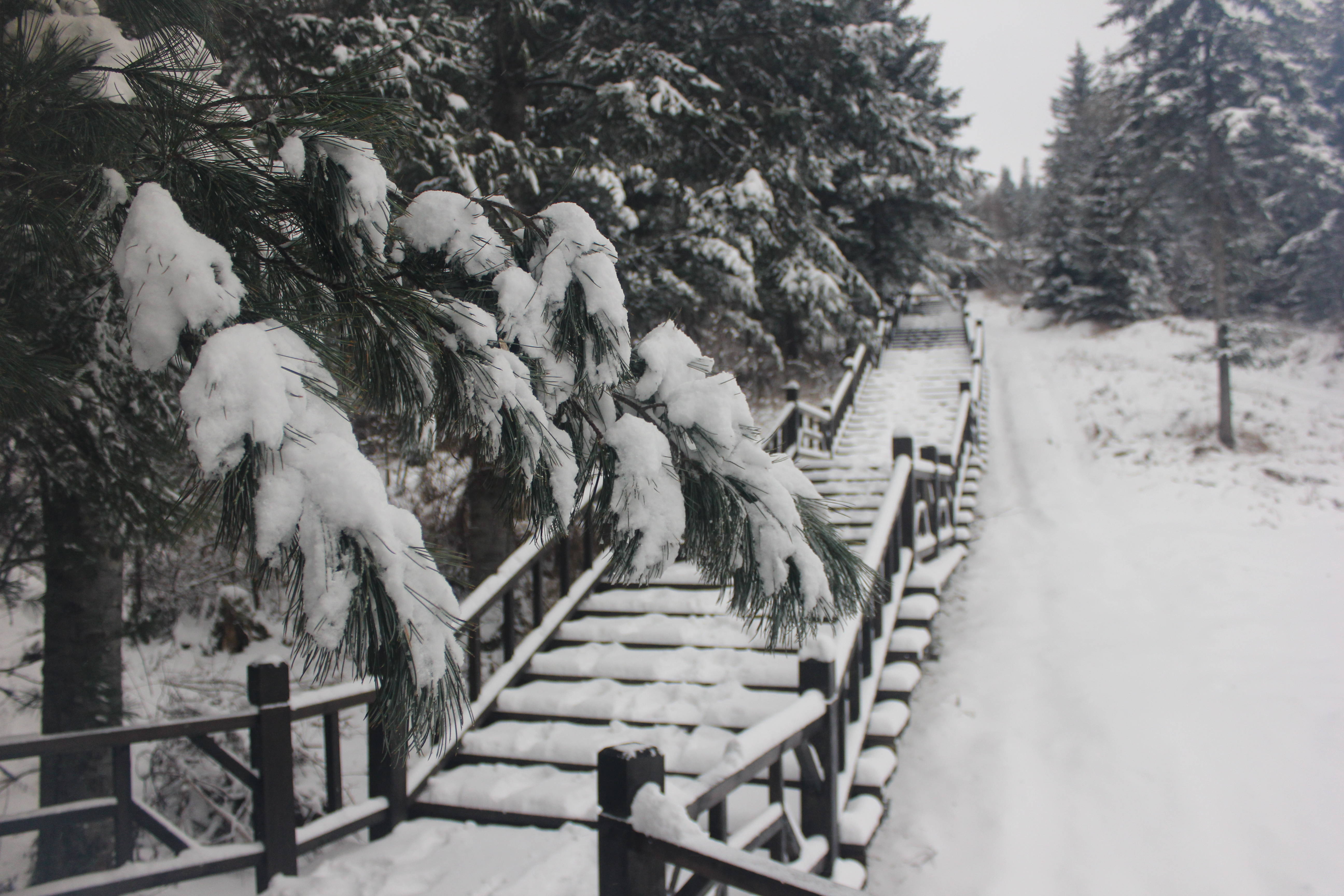 雪乡户外小帅的主播照片