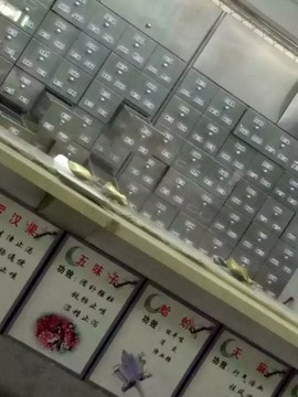 cailu81主播照片