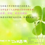 四叶🍀