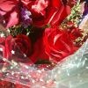 春暖花开c3s