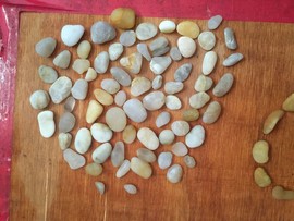 うAlan泽龙主播照片