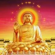 犀牛的萌
