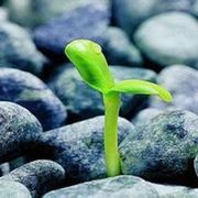 じ别让梦想只是梦想☆