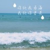 紫贝壳v3的头像