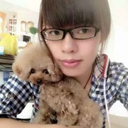 A善良的小小新