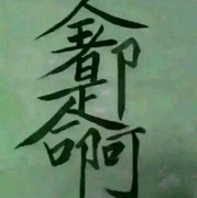 玖伍贰期主播照片