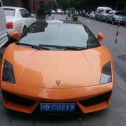 binbang一天一海报